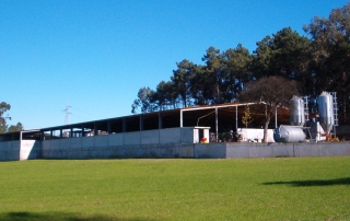 AJUDAS AO RENDIMENTO, REAP., PARCELÁRIO, PROJETOS E FORMAÇÃO PROFISSIONAL